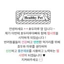 헬시펫
