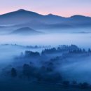 좋은세상 이미지