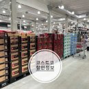 닥터크린랜드 | 코스트코(costco)할인정보, 9월 추석명절 선물세트 가격정보