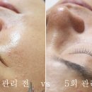 미세스도나 이미지