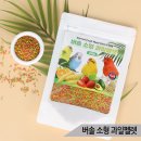 블루핀치