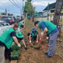 온양4동 온천대로 이미지