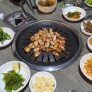 푸릇푸릇 5월의 일상