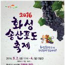 2016년 송산포도축제 이미지