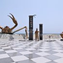 바다목장 이미지