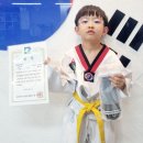 비송태권도 네이버블로그