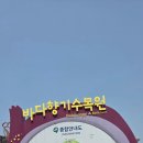 (나만의 일상)2025년6월 밀린일기 #바다 향기수목원 #궁평 솔숲 차 박 캠핑 #왜목마을 # 삼길포항#해미읍성