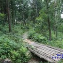 정남진센터-8 이미지