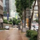청라약국 | 대구 중구 청라언덕역 | 저자극 슈가링왁싱 후기 커플왁싱추천