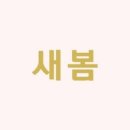 보들 왁싱