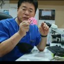 소피아여성의원 네이버블로그