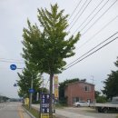 영주가스충전소 이미지