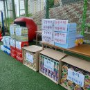 국공립리틀포레스트어린이집 이미지