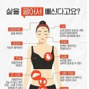 제이그린 이미지