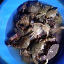 파인앤애플 펜션 이미지