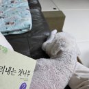 잣나무 | 아나스타시아 2권 소리내는 잣나무 후기 | 주는 삶에 대해 생각하게 된 이유