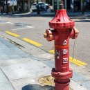 주정차32 이미지