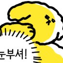 틱톡PC방 이미지