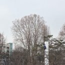 경희대학교서울캠퍼스행복기숙사 | 경희대 카페 온어스 졸업식 날 방문하기 좋은 캠퍼스 카페