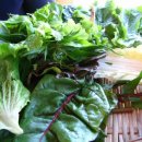 잎새쌈밥 이미지