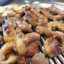 황토오리 이미지