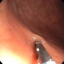 더블유세종어진건강의원 이미지