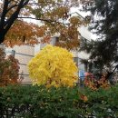 등구농장 이미지