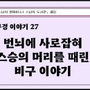 [원빈스님의 천일천독 북큐레이션 28일] ★ "번뇌에 사로잡혀 스승의 머리를 때린 비구 이야기" 이미지