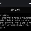 뽀삐뽀삐 이미지