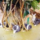 테이블에이 이미지