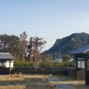 크로베한라 네이버블로그