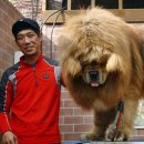 짱오농장 이미지