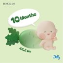 손쉬운재봉교실(오후) | [임신 36주] 임신 후기 증상 _ 먹덧?, 튼살, 변비, 속쓰림, 산전마사지, 불면, 배커짐, 배뭉침 통증, 태동