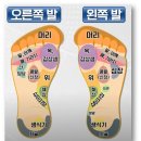 리플렉스 | 심장을 지켜주는 혁신적인 발 마사지기, 암웨이 리플렉스 REFLEXER 1699 체험 후기와 효과” 피로야 가라!