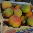 엿장수 민박 이미지