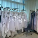 셀럽 | [셀럽비비] 드레스 가봉 후기, 추가금 방어 결국 대실패!!!