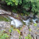 정원펜션 | 삼척독채펜션 자연 속 힐링 끝판왕, 녹색정원펜션 솔직 후기