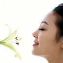 피부114 - 춘천시 | 피부114