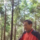 제지기오름 이미지