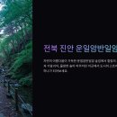 운일암반일암숲길 | 맨발걷기, 뇌신경자극, 명상힐링 트랙킹, 전북 진안 운일암반일암 숲길🌳