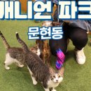 캐니언파크 네이버블로그
