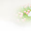 위메이크 이미지