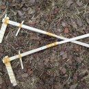 독립기념관 캠핑장 이미지