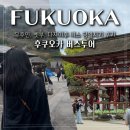 후쿠오카 버스투어 내돈내산 유후인 벳부 다자이후 당일치기 후기