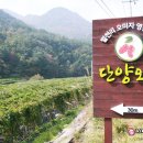 오미 농산물 이미지