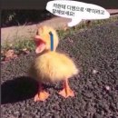 제너럴빨래방 | 내멋대로살거야말리지마(말려줘)