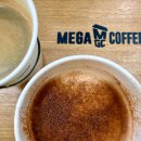 신정호잔디광장 | 아산 신정호 카페 메가커피 호수를 보며 커피 한 잔