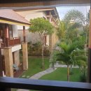 엔젤스펫(Angels pet) | 발리여행 8박9일, 꾸따 짱구 스미냑, 바투르산 일출트레킹 2019.09.29~10.06