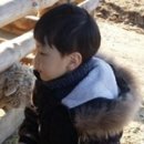 서희목장 Daum카페