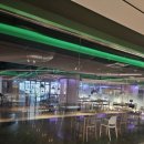 소노펠리체 델피노 이미지